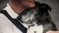 Își va aminti câinele de stăpânul său după mulți ani de despărțire?