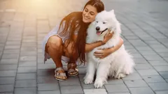 Cele mai prietenoase rase de câini pentru familiile cu copii, care iubesc cu adevărat oamenii